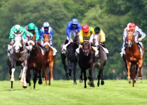 Resultat Des Courses Aujourd Hui gazettedupmu2 Resultat Des Courses Aujourd Hui gazettedupmu2