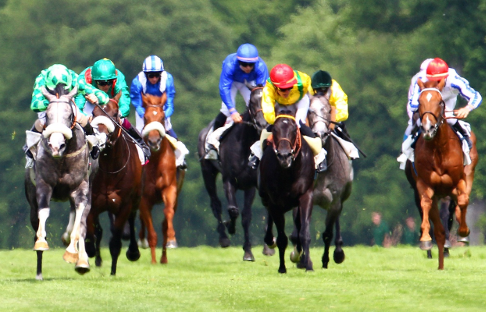 Resultat Des Courses Aujourd’Hui