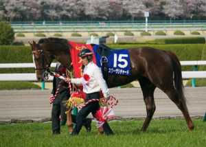 Turf Pronostic 7