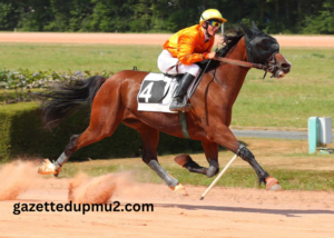 Nivard Guyon Turf