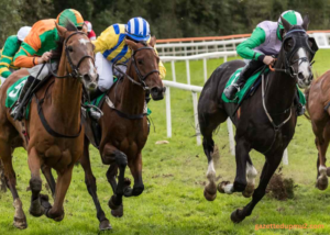 Understanding the Basics of Horse Racing Betting