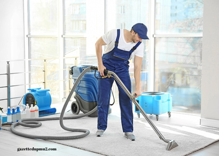 Healthy Floors, Healthy Families: Carpet Cleaning Tips