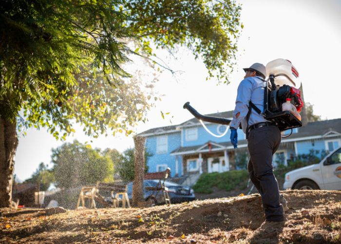 Addressing Pest Control Challenges in Bakersfield: When DIY Falls Short