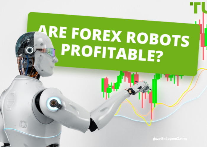 Forex Robot – How Can A Forex Robot Help Traders Make Profits?