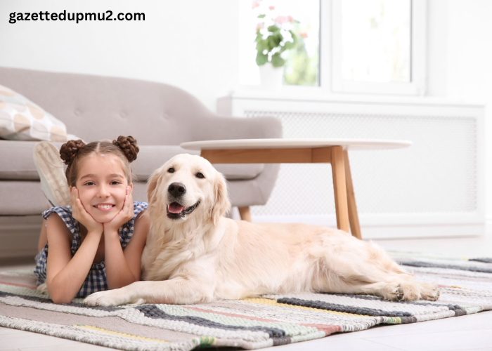 Preparing Your Home for a New Cavapoo Puppy: A Checklist
