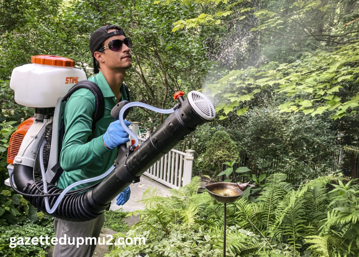 DIY Pest Control in Louisville: What Works and What Doesn’t