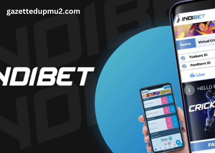 What is the secret of Indibet popularity?