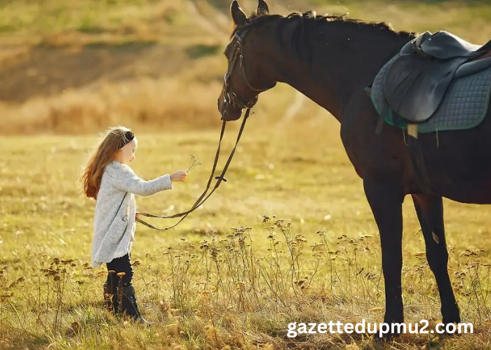 The Majestic Journey: Exploring the History and Evolution of Horses