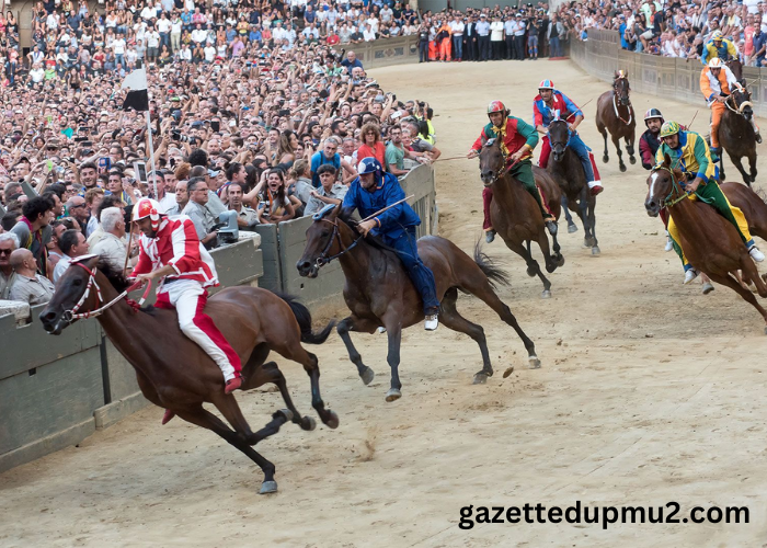 Galloping Through History: The Enduring Bond Between Humans and Horses