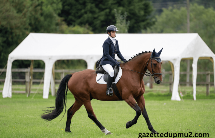 Choosing the Best Event Facilities for Horse Riding Competitions