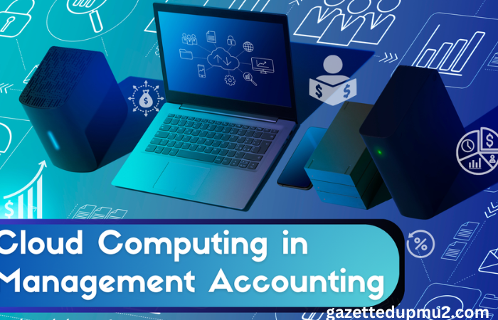 Cloud Computing in Management Accounting