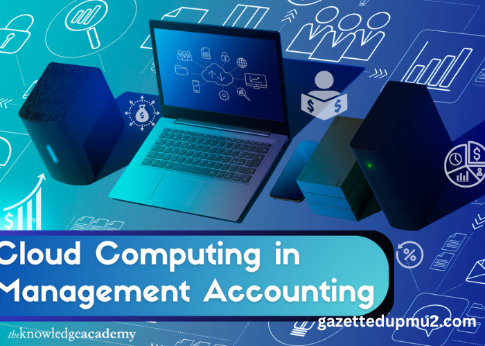 Cloud Computing in Management Accounting