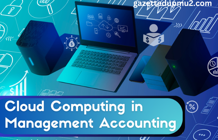 Cloud Computing in Management Accounting