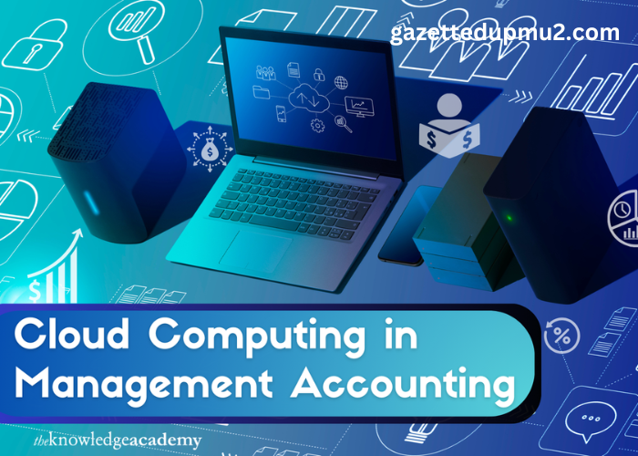 Cloud Computing in Management Accounting