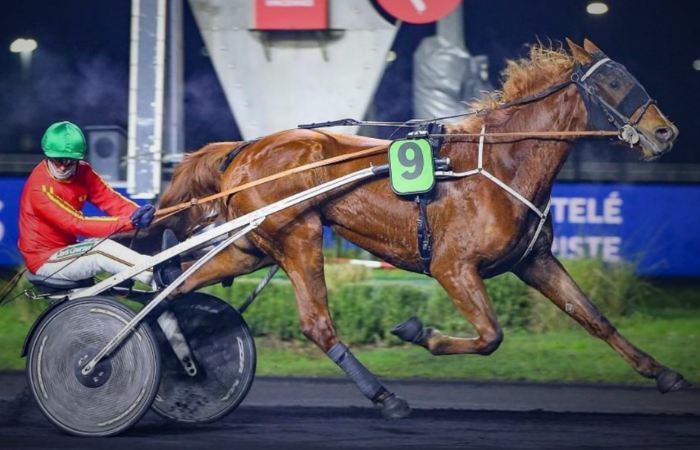 8 Chevaux Turf Magique