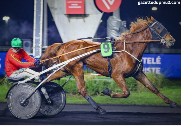 8 Chevaux Turf Magique