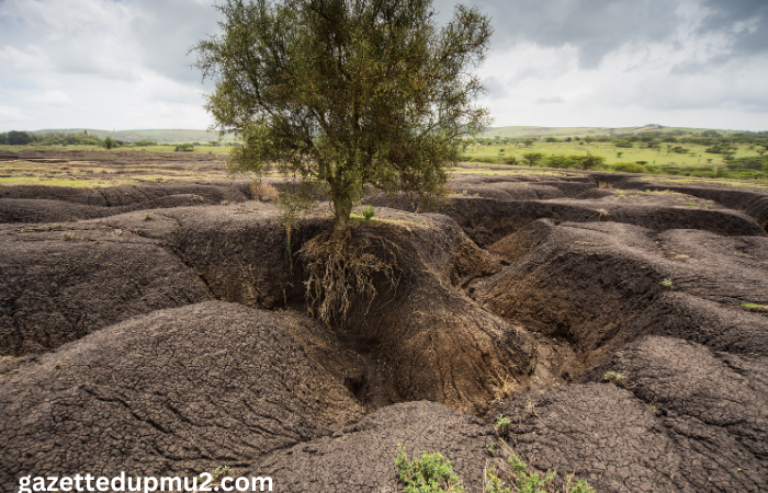 Land Clearing for Agricultural Purposes in Georgetown: Promoting Soil Conservation and Sustainable Practices