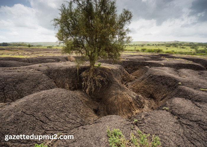 Land Clearing for Agricultural Purposes in Georgetown: Promoting Soil Conservation and Sustainable Practices