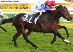 pmu tiercé Maxi Prono Vérité