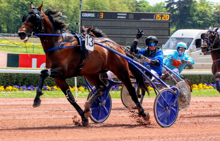 Programme Pmu DE Demain Lonab Pronostics