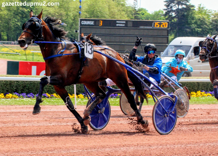 Programme Pmu DE Demain Lonab Pronostics