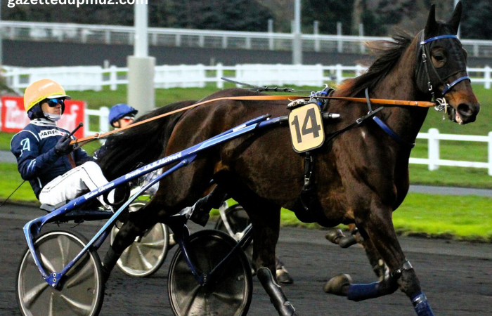 Pronostic Quinté Demain