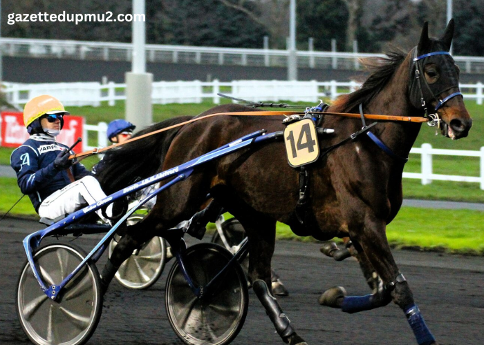 Pronostic Quinté Demain