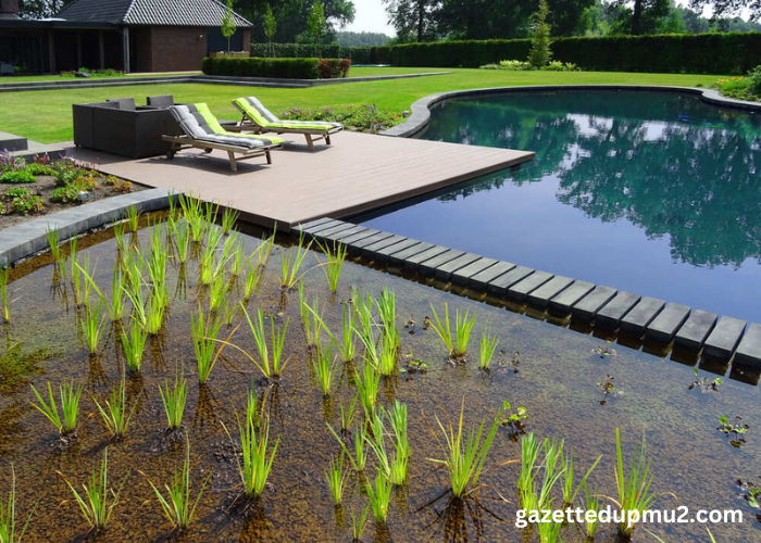 Eco-Friendly Pool Care: Sustainable Solutions for Fort Lauderdale Pools