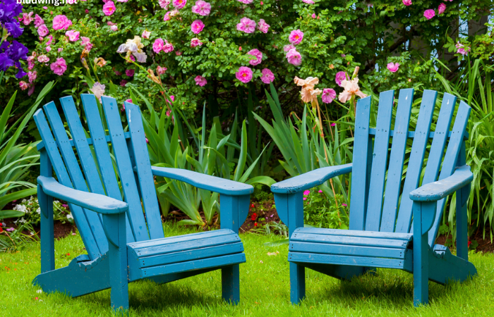 Summer Lawn Care: Beat the Heat in Concord and Mooresville