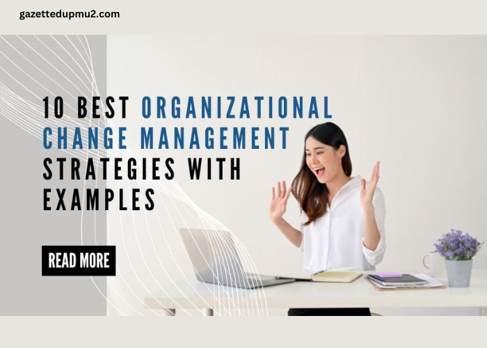 10 Best Organizational Change Management Strategies With Examples