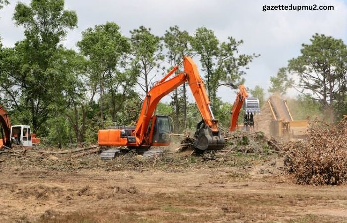 Massachusetts Land Clearing A Homeowner's Guide to Preparing Your Property