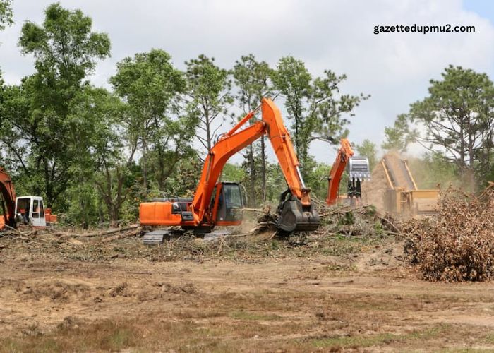 Massachusetts Land Clearing: A Homeowner’s Guide to Preparing Your Property