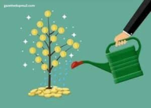 Unlocking Your Cash Flow How to Maximize Rewards and Flexibility