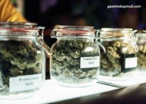 Avoid Scams Tips for Securing Legal Marijuana Seed Transactions