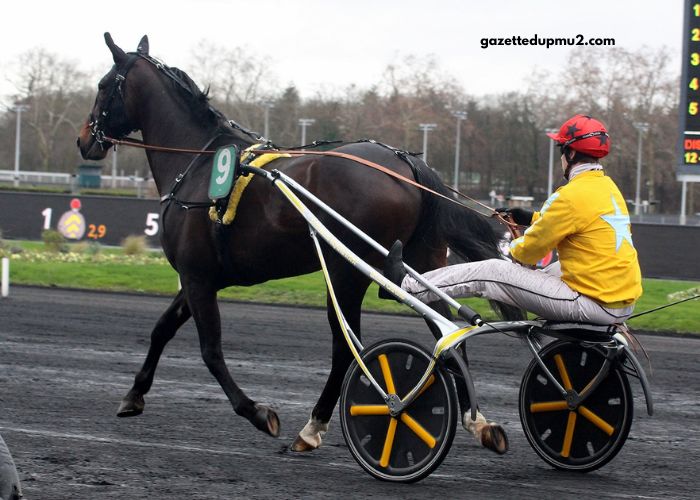 Cci Trio Gagnant
