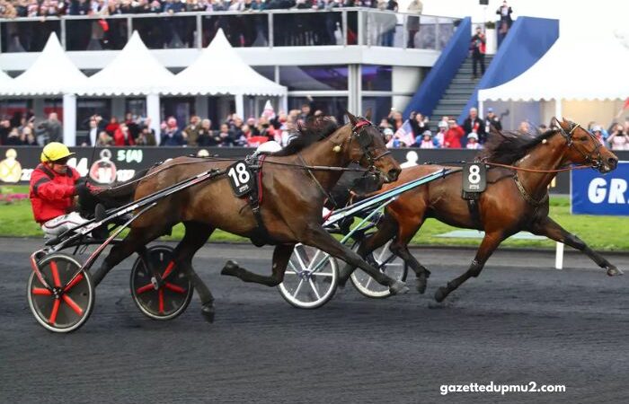 Course en Direct