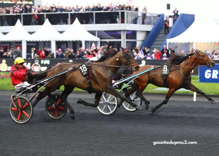Course en Direct
