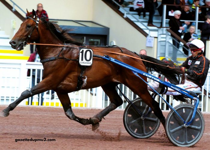 LA Voyeuse Sur
