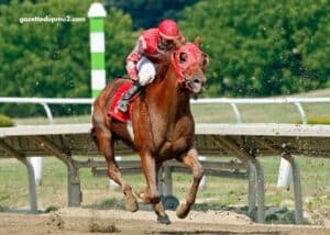 Le Journal Gratuit Du Parieur