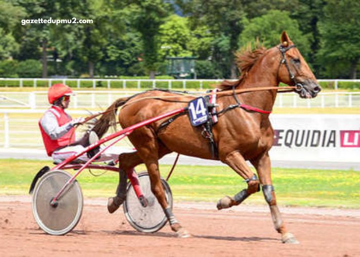 Programme Pmu’ DE Demain Lonab