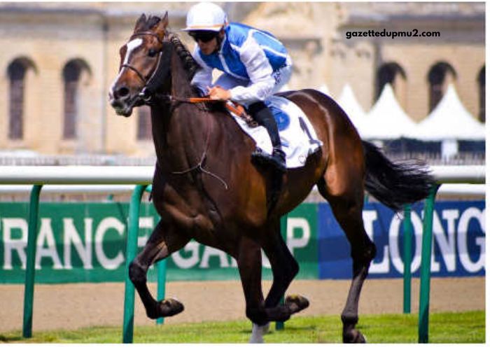 Clé Milliard Turf