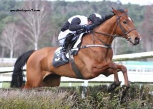 Resultat Des Courses Aujourd Hui gazettedupmu2