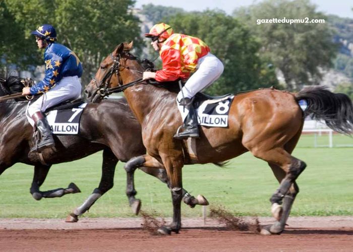Les 4 Gagnants Vip