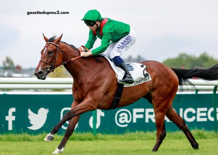 Paris-Promise Turf